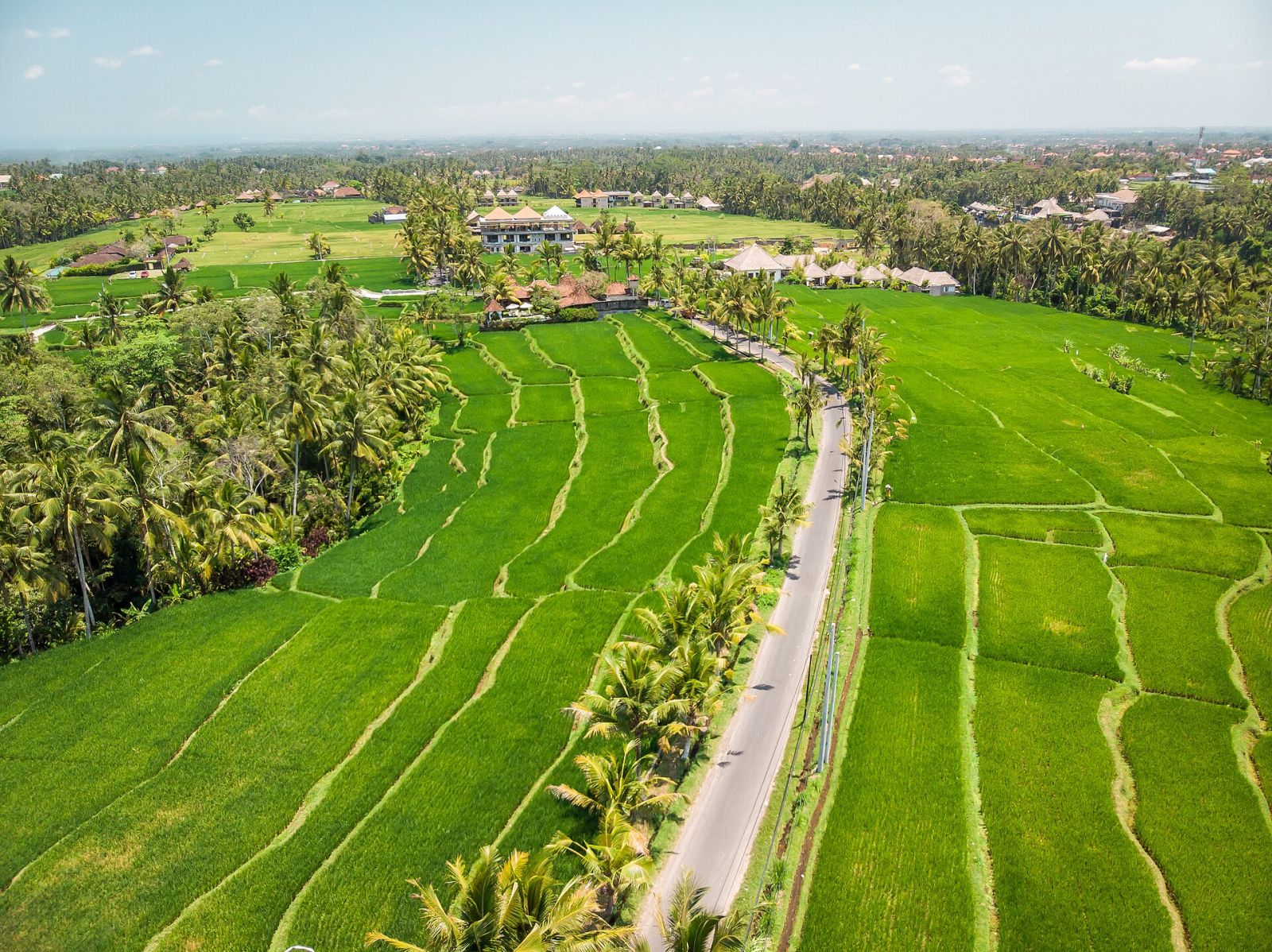 Panduan Liburan ke Ubud: Sawah, Seni, dan Ketenangan